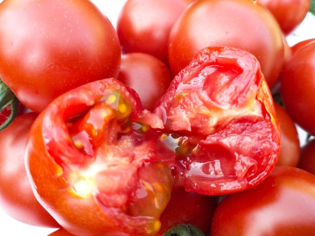 Organic Fruit Tomato