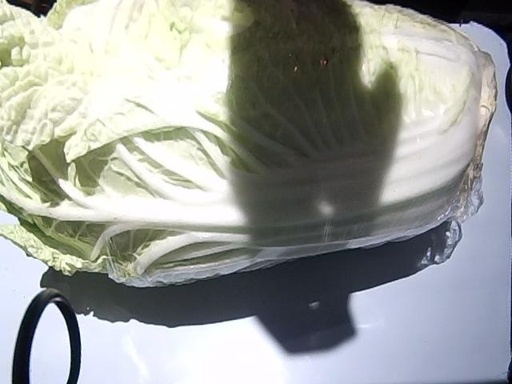 卷心大白菜