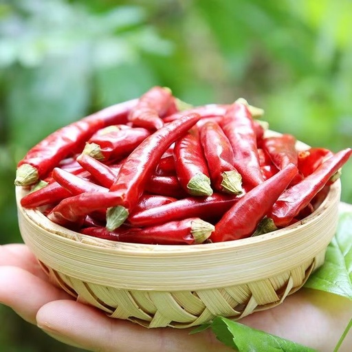 干辣椒（七星海椒）