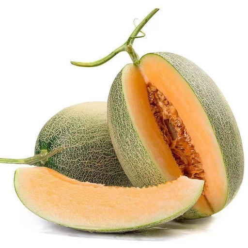 彩凉源哈密瓜